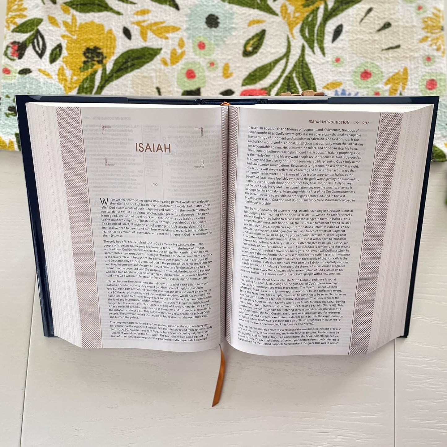 NIV Grace & Truth Study Bible