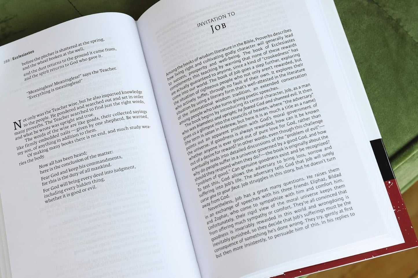 NIV The Books of the Bible: The Writings (Part 3)